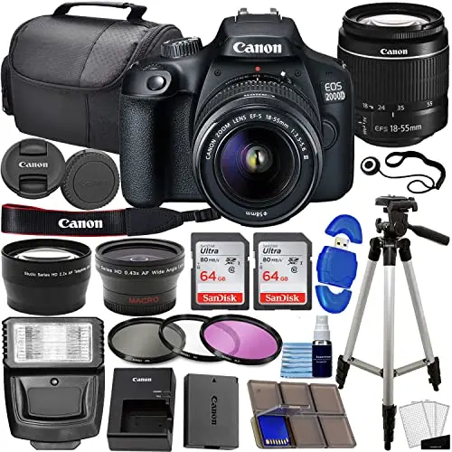 Best Starter Camera For Landscape Photography - 2026 Reviews - Camera Props