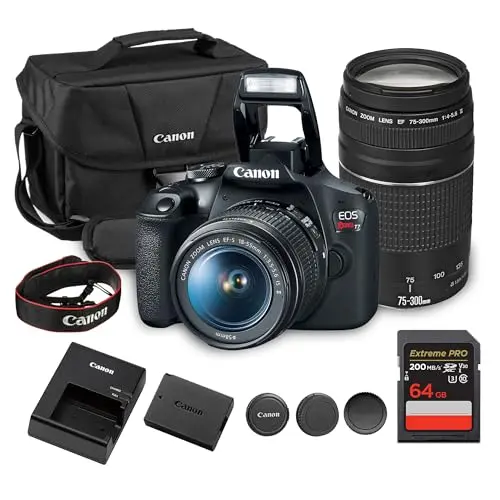 Best Professional Cameras For Beginners - 2026 Reviews - Camera Props